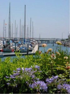 garden near boats